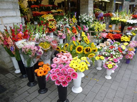 北京哪個超市買花?買花的選擇與品味