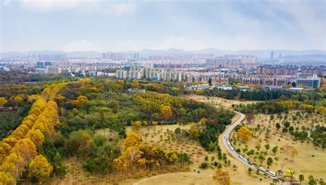 怎麼去紫荊山公園？紫荊山公園作為一處風景名勝，不僅僅是人們散步、休閒的好去處，也成為了解當地文化、歷史的重要窗口。